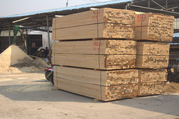 工程用铁杉建筑木材-沧州铁杉建筑木材-旺源木业