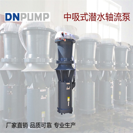 潜水轴流泵价格-广西潜水轴流泵-德能泵业有限公司