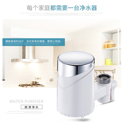 家用净水器价格|欧漾净水器(在线咨询)|湖北净水器