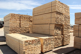 泰安建筑木方-名和沪中木业(在线咨询)-工程用建筑木方规格
