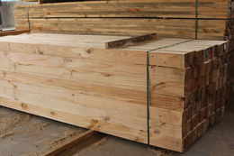 定尺加工铁杉建筑木材-武林木材(在线咨询)-菏泽铁杉建筑木材