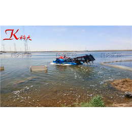 水电站垃圾保洁船、河道水葫芦治理机械(在线咨询)、江阴保洁船