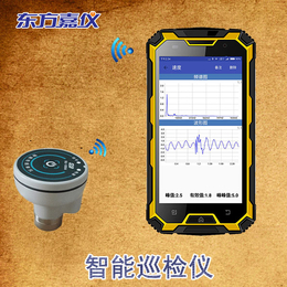 包钢设备测温测振点检仪、青岛东方嘉仪(在线咨询)、钢