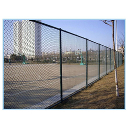 腾佰丝网(图)、体育场地围栏网*、上海体育场地围栏网
