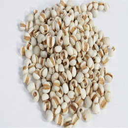 供应薏米 非转基因小粒薏米缩略图