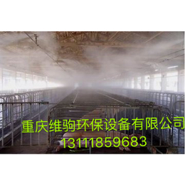 自贡*降温设备人造雾*造景系统-重庆维驹环保