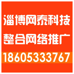 邹平网站优化公司_淄博网泰科技_淄博怎样选择网站优化公司