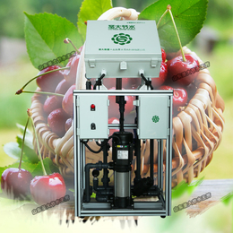 大田果树施肥机 果园樱桃种植水肥一体化施肥机自动带触摸屏