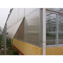 抚宁县阳光板车棚雨棚耐力板生态园温室大棚pc板