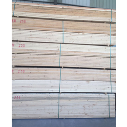 铁杉方木|国鲁工贸|铁杉方木价格