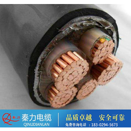 电路电缆型号,渭南电力电缆,西安电缆厂(查看)