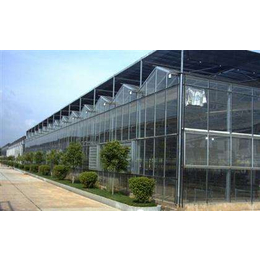 辽阳玻璃温室|安阳盛丰温室工程|玻璃温室设计