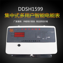 山东岳嘉_多用户电表_DDSH1599多用户电表