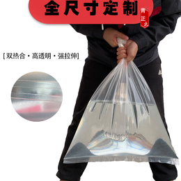 食品级胶袋 定制食品包装袋 彩色印刷pe塑料袋