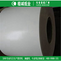 上海双面淋膜纸 楷诚工业淋膜纸厂家