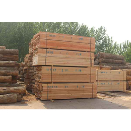 辰丰木材加工厂定做(图),铁杉建筑木方批发厂家,铁杉建筑木方