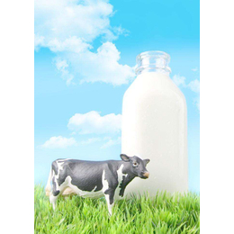澳洲大草原进牛奶的报关流程
