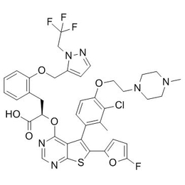 北海分子量检测-瀛亨检测报告-蛋白质分子量检测