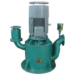 温州65WFB-E自吸泵泵体-立式自吸污水泵