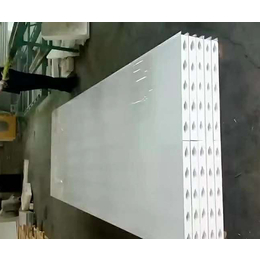 玻镁岩棉净化板工程-玻镁岩棉净化板-海强金诺公司(查看)