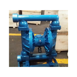 aro气动隔膜泵-qby气动隔膜泵-珠海气动隔膜泵