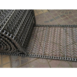 盐城网带-不锈钢网带价格-耐高温板式提升级