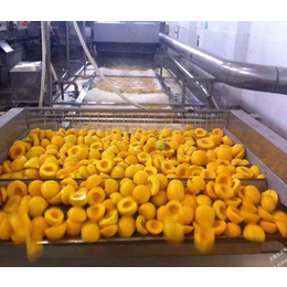 河南糖水黄桃罐头价格|君果食品生产厂家|糖水黄桃罐头
