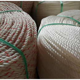 凯利绳网(图),生产聚乙烯绳子,济南聚乙烯绳子