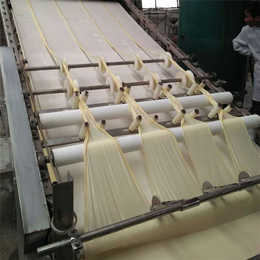 鹤岗哪个腐竹机厂家质量好大型腐竹生产线|制作腐竹的机器