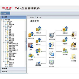 贵州东语(图),贵阳财务软件公司哪家好,财务软件