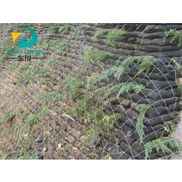绿化喷植挂网|东川丝网|绿化喷植挂网优点
