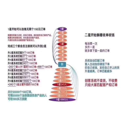 广州智丰网络软件开发缩略图
