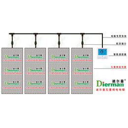 1**1000万纪录 迪尔曼石墨烯采暖为什么火