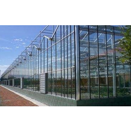 尖顶玻璃温室大棚、玻璃温室大棚、齐鑫温室园艺