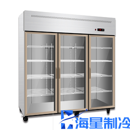湖南长沙立式冷藏展示柜厂家 不锈钢玻璃门保鲜柜带门串串柜