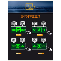 信力科技(图),应急灯价格,台安应急灯