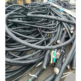 滨州电缆回收-电缆铜回收-利新电缆回收(****商家)