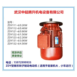 锥形电机-武汉中起腾升(在线咨询)-四川电机