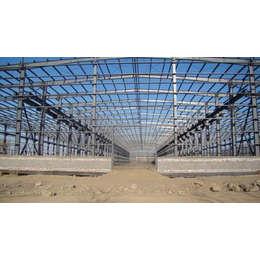 钢结构生产-钢结构-瑞琦设备厂家*