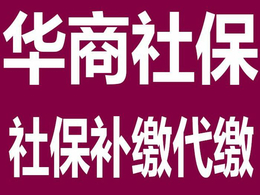 红河财务代账-西安工商记账-财务代账是啥意思