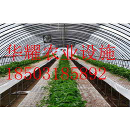 温室大棚种植-温室草莓-温室种植技术