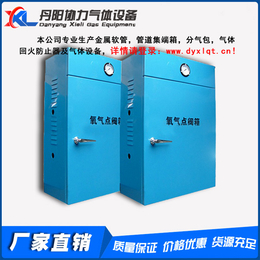 管道集端箱企业|上海管道集端箱|丹阳协力气体生产厂家(查看)