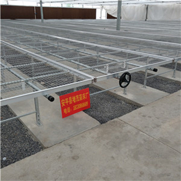 云南昆明供应 热镀锌苗床网  温室苗床钢丝网 厂家提供安装
