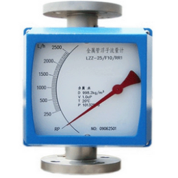 LZZ-100金属管转子流量计