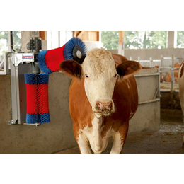 牛体刷厂(图)|牛体刷批发|牛体刷