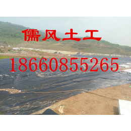 污水池防水板,儒风土工(在线咨询),吴堡县防水板