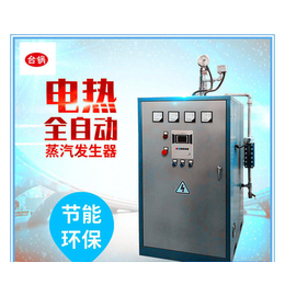 香港立式电蒸汽发生器-台锅锅炉(图)-立式电蒸汽发生器*