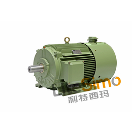 西玛变频电机YVFE2-160M-4 11KW 全系列现货缩略图