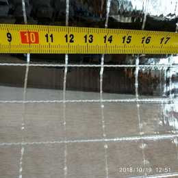 2cm厘米网格阻燃透明PVC夹网布