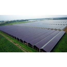 住宅太阳能发电-聚泰鑫-质量精良-通化太阳能发电